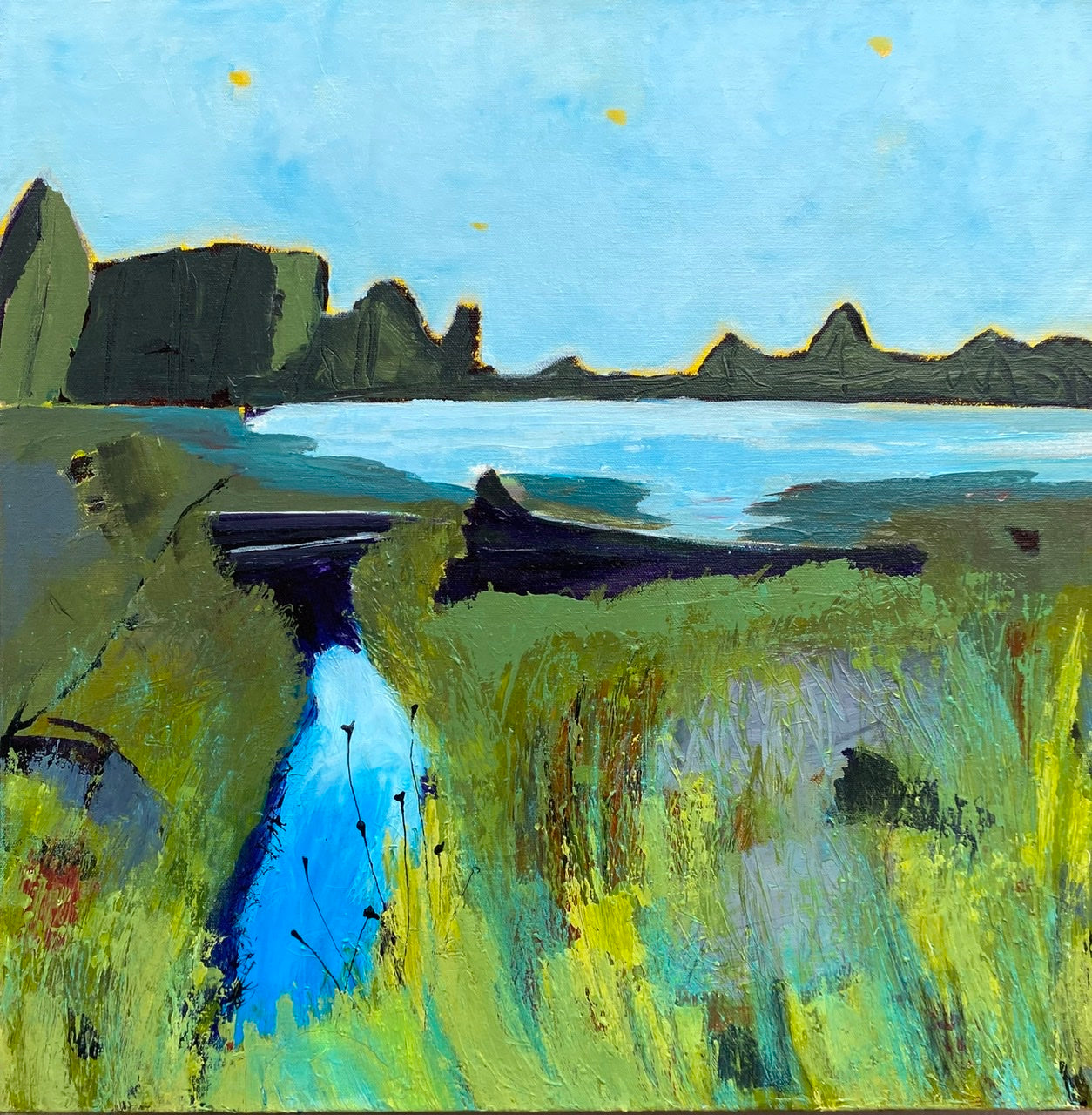 Salt Marsh